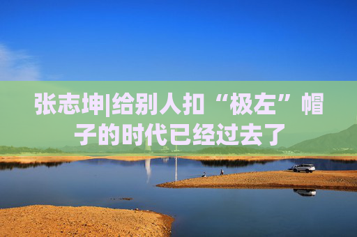 张志坤|给别人扣“极左”帽子的时代已经过去了