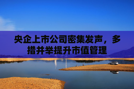 央企上市公司密集发声，多措并举提升市值管理
