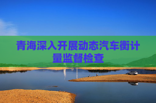 青海深入开展动态汽车衡计量监督检查