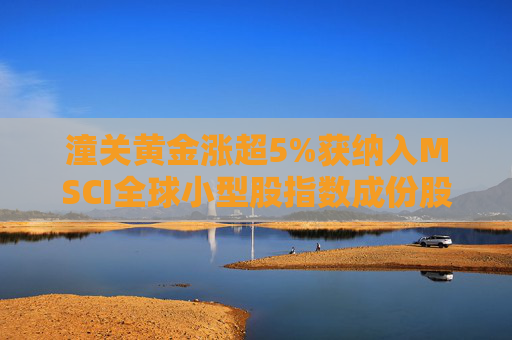 潼关黄金涨超5%获纳入MSCI全球小型股指数成份股机构指公司利润进入快速增长阶段