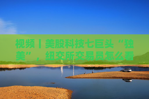 视频丨美股科技七巨头“独美”，纽交所交易员怎么看