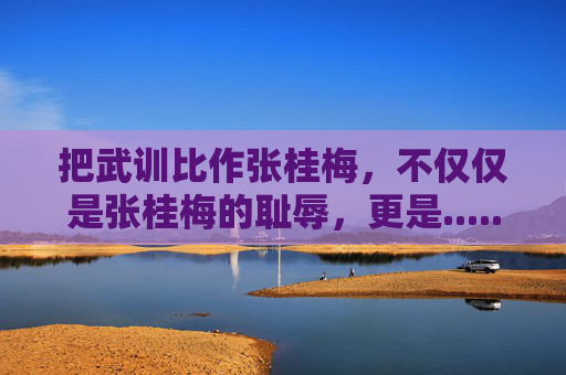 把武训比作张桂梅，不仅仅是张桂梅的耻辱，更是......