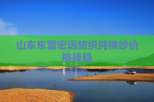 山东东营宏远纺织纯棉纱价格持稳