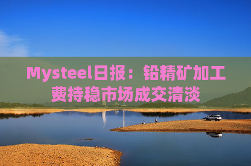 Mysteel日报：铅精矿加工费持稳市场成交清淡