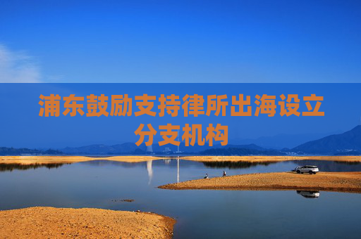 浦东鼓励支持律所出海设立分支机构