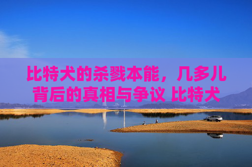比特犬的杀戮本能，几多儿背后的真相与争议 比特犬几多儿杀戮
