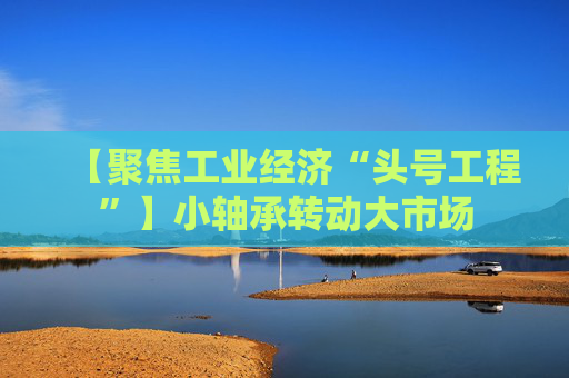 【聚焦工业经济“头号工程”】小轴承转动大市场