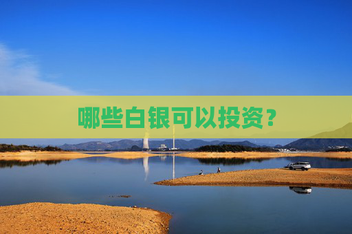哪些白银可以投资？