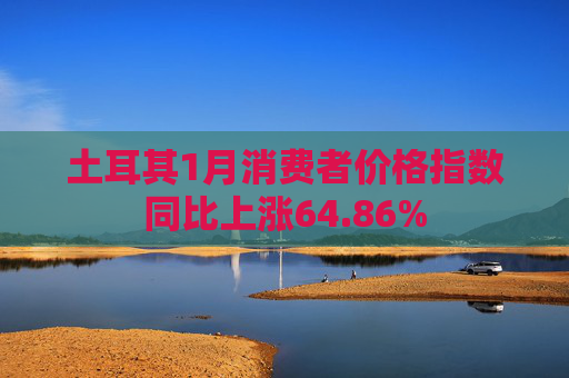 土耳其1月消费者价格指数同比上涨64.86%