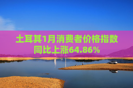 土耳其1月消费者价格指数同比上涨64.86%