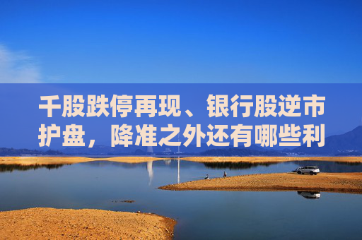 千股跌停再现、银行股逆市护盘，降准之外还有哪些利好支撑？