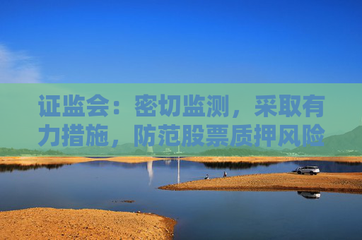 证监会：密切监测，采取有力措施，防范股票质押风险