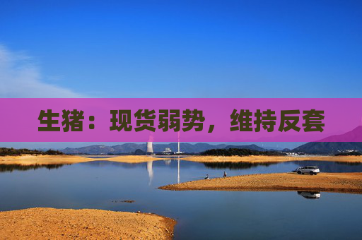 生猪：现货弱势，维持反套
