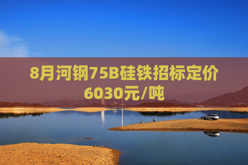 8月河钢75B硅铁招标定价6030元/吨