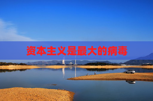 资本主义是最大的病毒