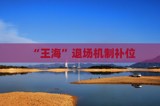 “王海”退场机制补位
