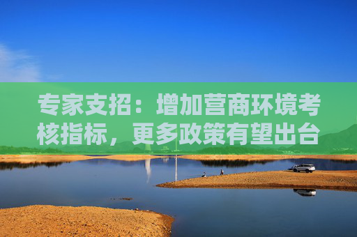 专家支招：增加营商环境考核指标，更多政策有望出台