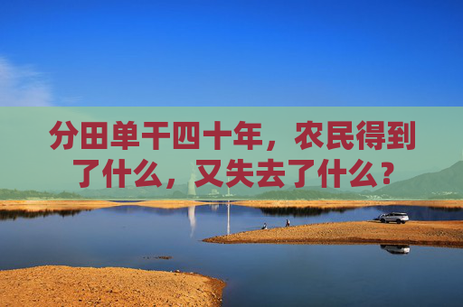 分田单干四十年，农民得到了什么，又失去了什么？