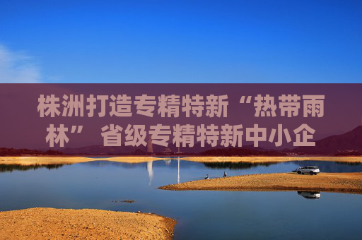 株洲打造专精特新“热带雨林” 省级专精特新中小企业突破600家