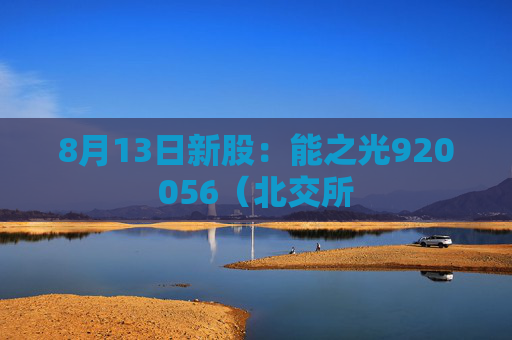 8月13日新股：能之光920056（北交所