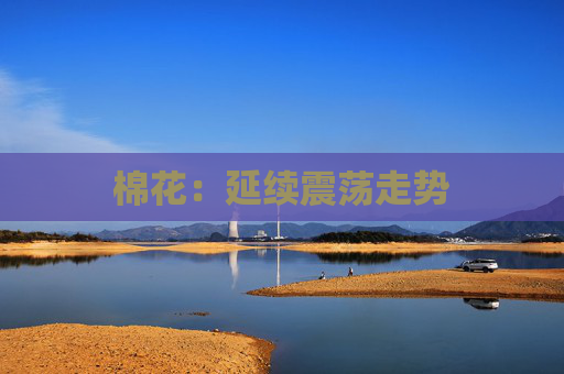 棉花：延续震荡走势