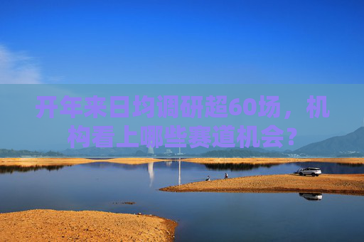 开年来日均调研超60场，机构看上哪些赛道机会？