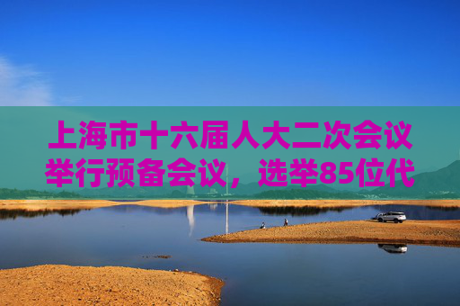 上海市十六届人大二次会议举行预备会议，选举85位代表为主席团成员