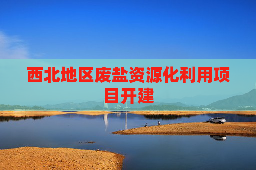 西北地区废盐资源化利用项目开建