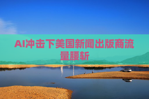 AI冲击下美国新闻出版商流量腰斩