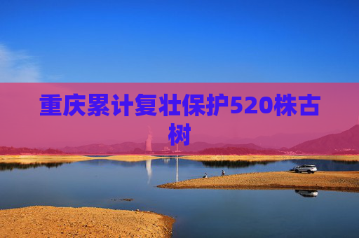 重庆累计复壮保护520株古树