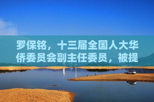 罗保铭，十三届全国人大华侨委员会副主任委员，被提起公诉