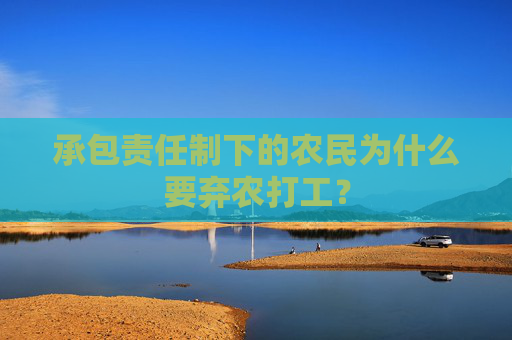 承包责任制下的农民为什么要弃农打工？