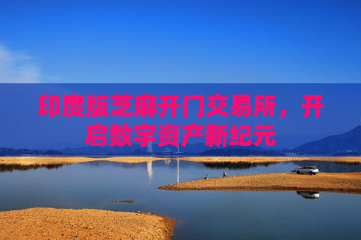 印度版芝麻开门交易所，开启数字资产新纪元