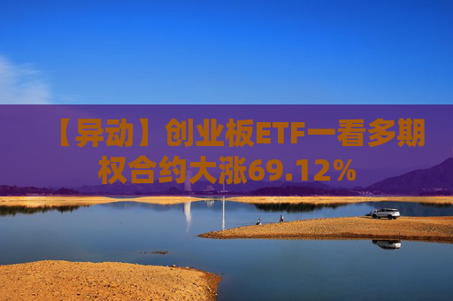 【异动】创业板ETF一看多期权合约大涨69.12%