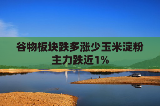 谷物板块跌多涨少玉米淀粉主力跌近1%