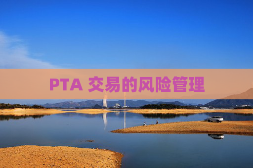 PTA 交易的风险管理