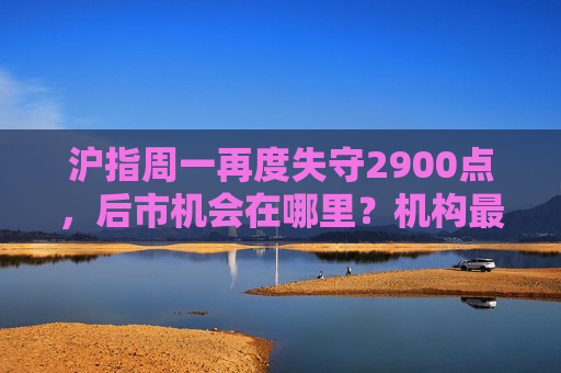 沪指周一再度失守2900点，后市机会在哪里？机构最新研判来了