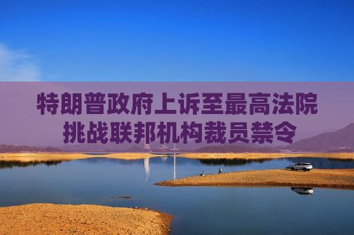 特朗普政府上诉至最高法院 挑战联邦机构裁员禁令