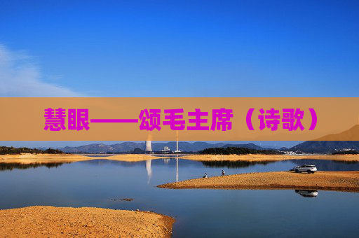 慧眼——颂毛主席（诗歌）