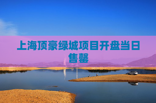 上海顶豪绿城项目开盘当日售罄