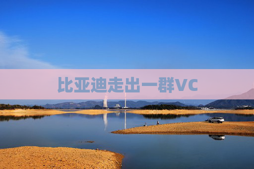 比亚迪走出一群VC