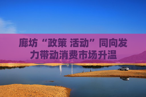 廊坊“政策 活动”同向发力带动消费市场升温