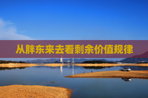从胖东来去看剩余价值规律