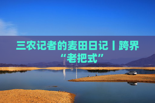 三农记者的麦田日记丨跨界“老把式”