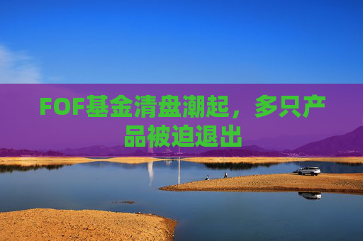 FOF基金清盘潮起，多只产品被迫退出