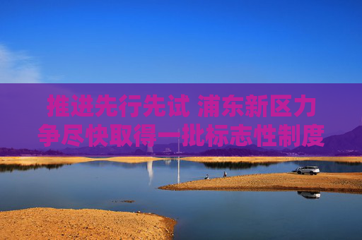 推进先行先试 浦东新区力争尽快取得一批标志性制度创新成果