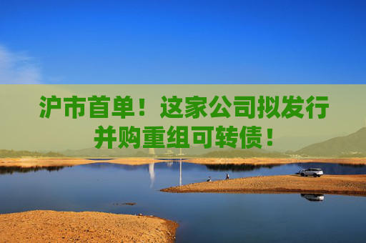 沪市首单！这家公司拟发行并购重组可转债！