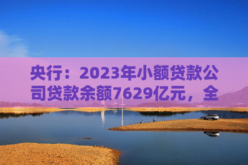 央行：2023年小额贷款公司贷款余额7629亿元，全年减少1478亿元