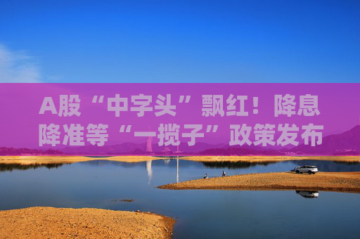 A股“中字头”飘红！降息降准等“一揽子”政策发布，将带来哪些影响？