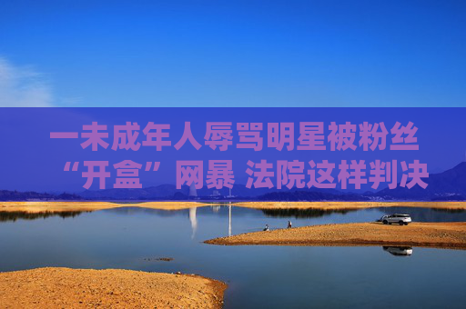 一未成年人辱骂明星被粉丝“开盒”网暴 法院这样判决